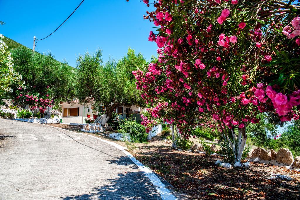 Rogakia Village Est. 1983 Zóla エクステリア 写真